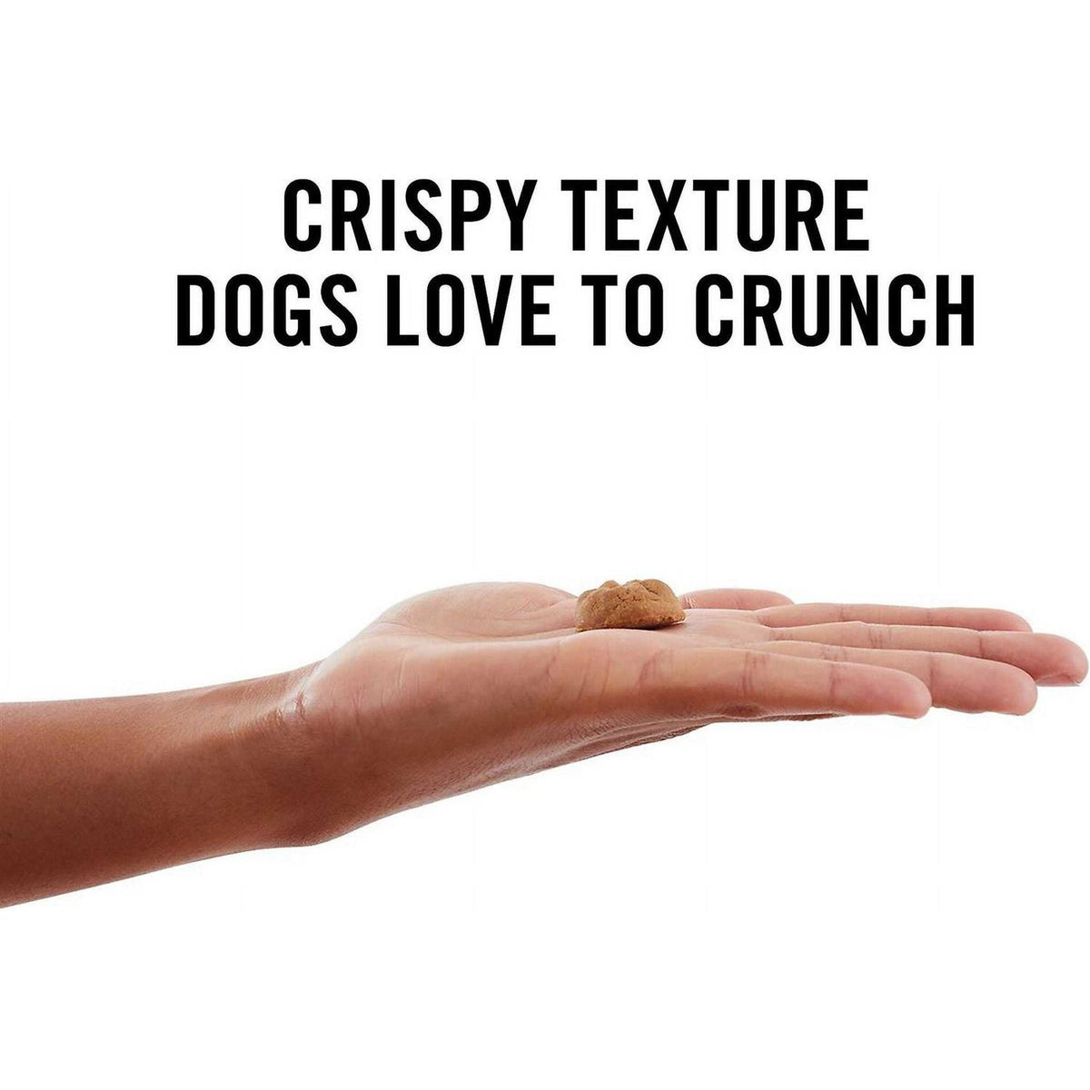 Peanut Butter Grain-Free Oven Baked Crunchy Biscuit Dog Treats R527088