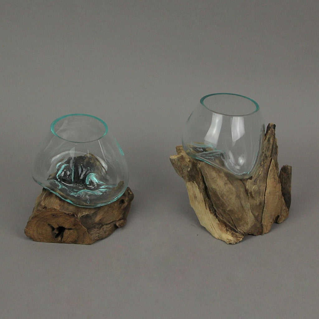Set of 2 Glass and Teak Driftwood Decorative Bowls A552870