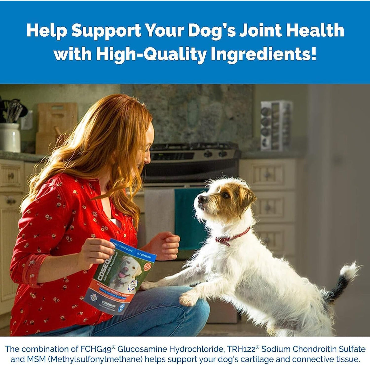 180 Chewable Tablets Joint Health Supplement for Dogs S473