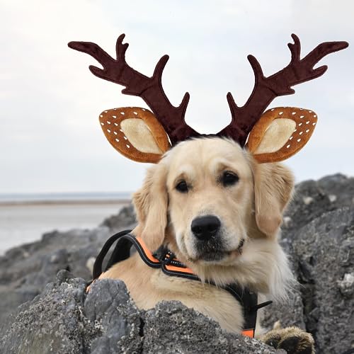 Dog Cat Christmas Reindeer Antlers Headband Adjustable Pet Costume K77784