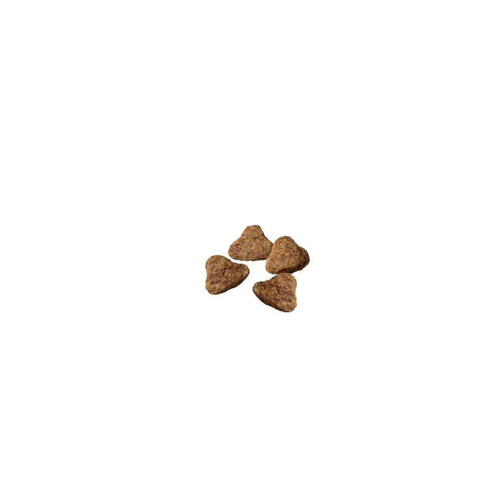 Dry Dog Food P291754