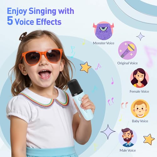 Portable Bluetooth Karaoke Speaker with 2 Wireless Microphones and Party Lights J490