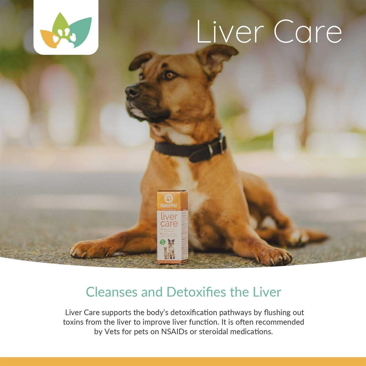 Liver Care 100ml Y390067