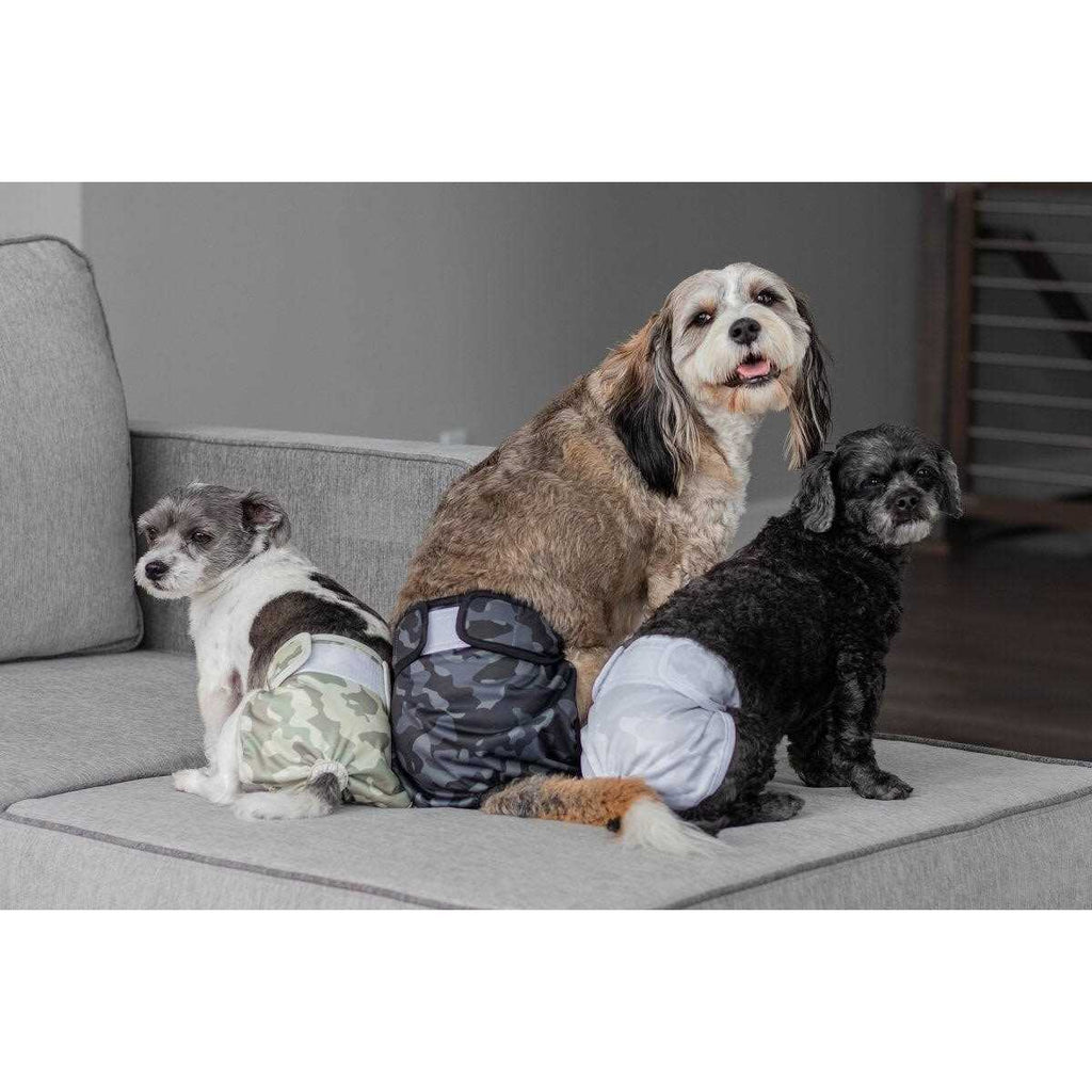 Washable Dog Diapers P547840