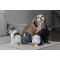 Washable Dog Diapers P547840