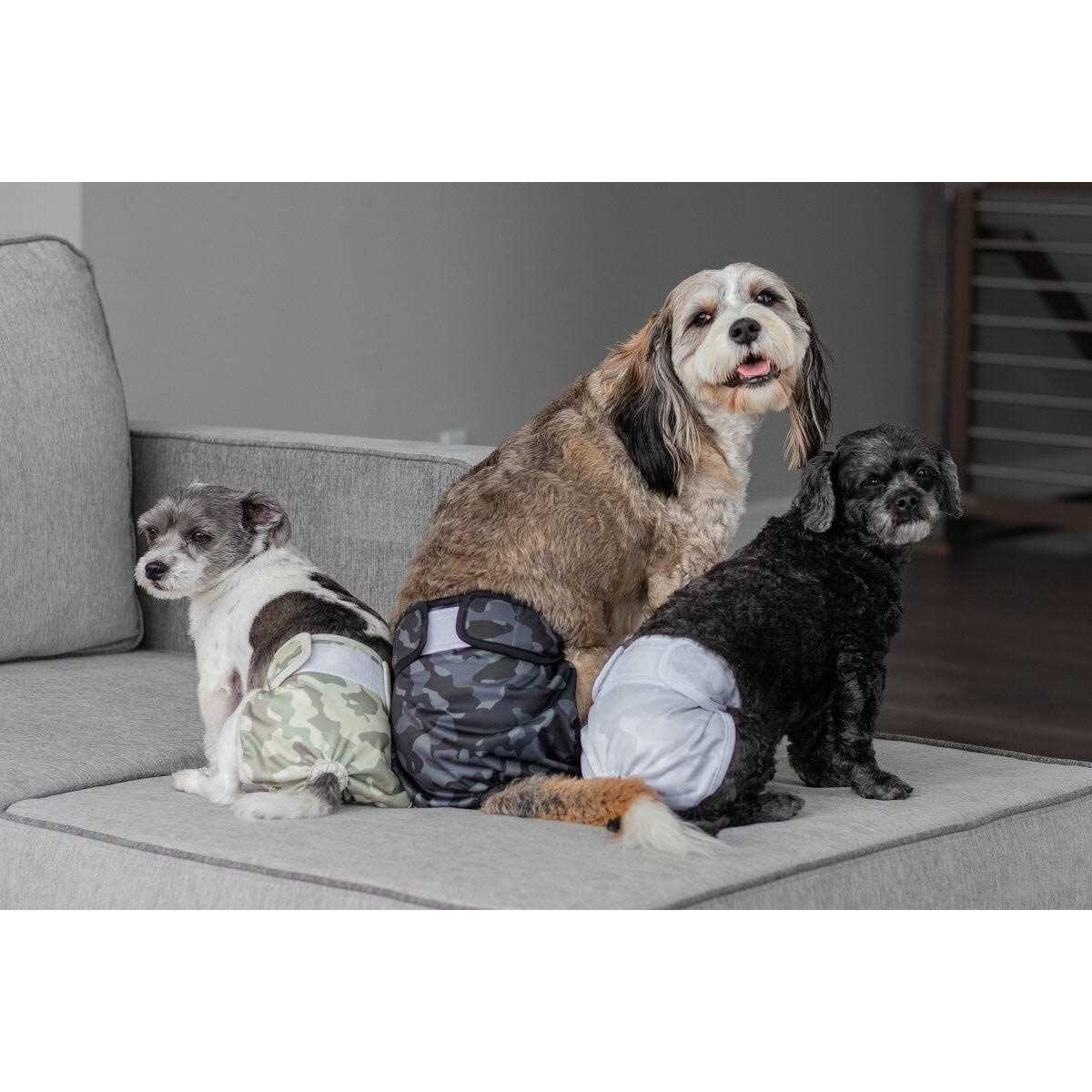 Washable Dog Diapers P547840