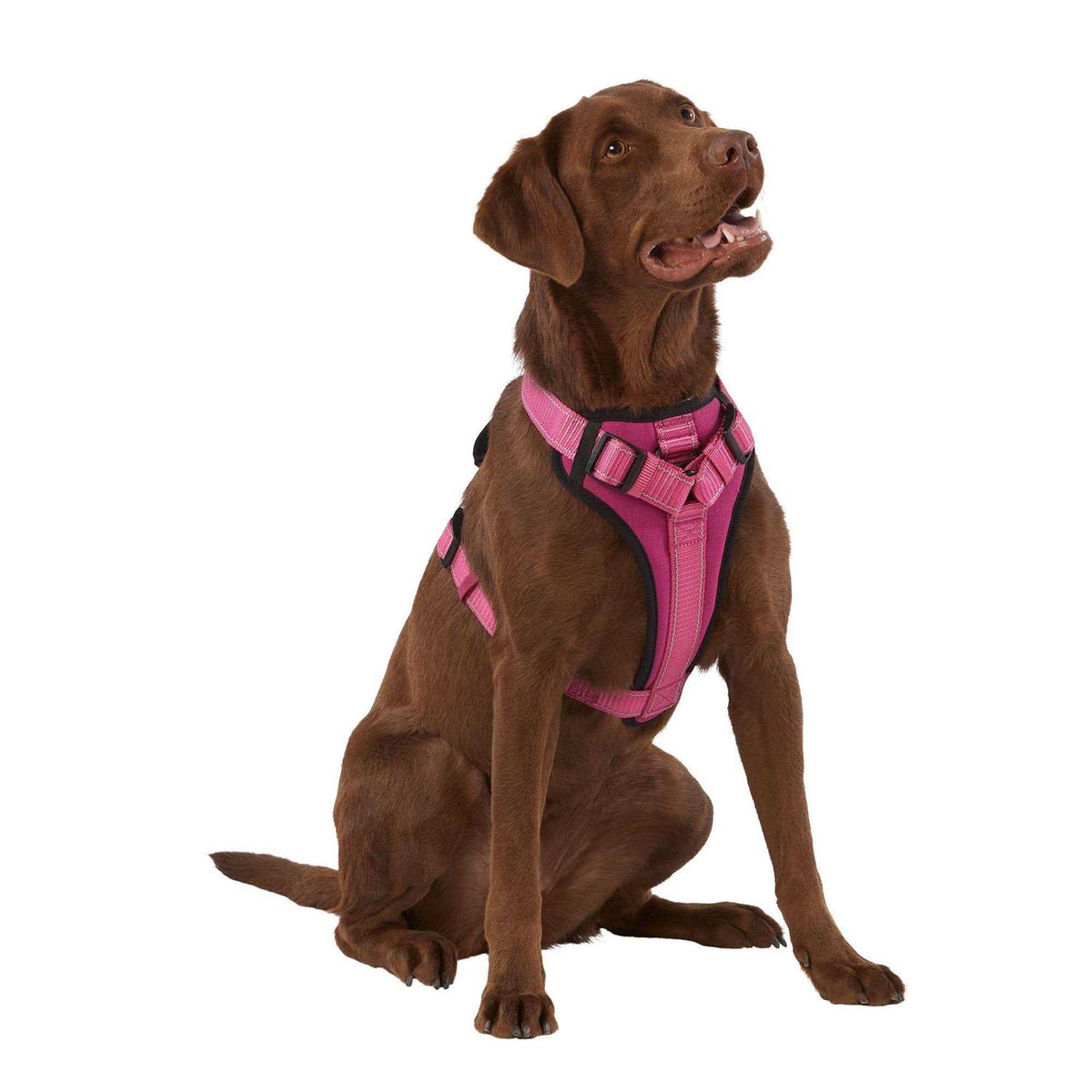 Neoprene Padded Dog Harness D7730