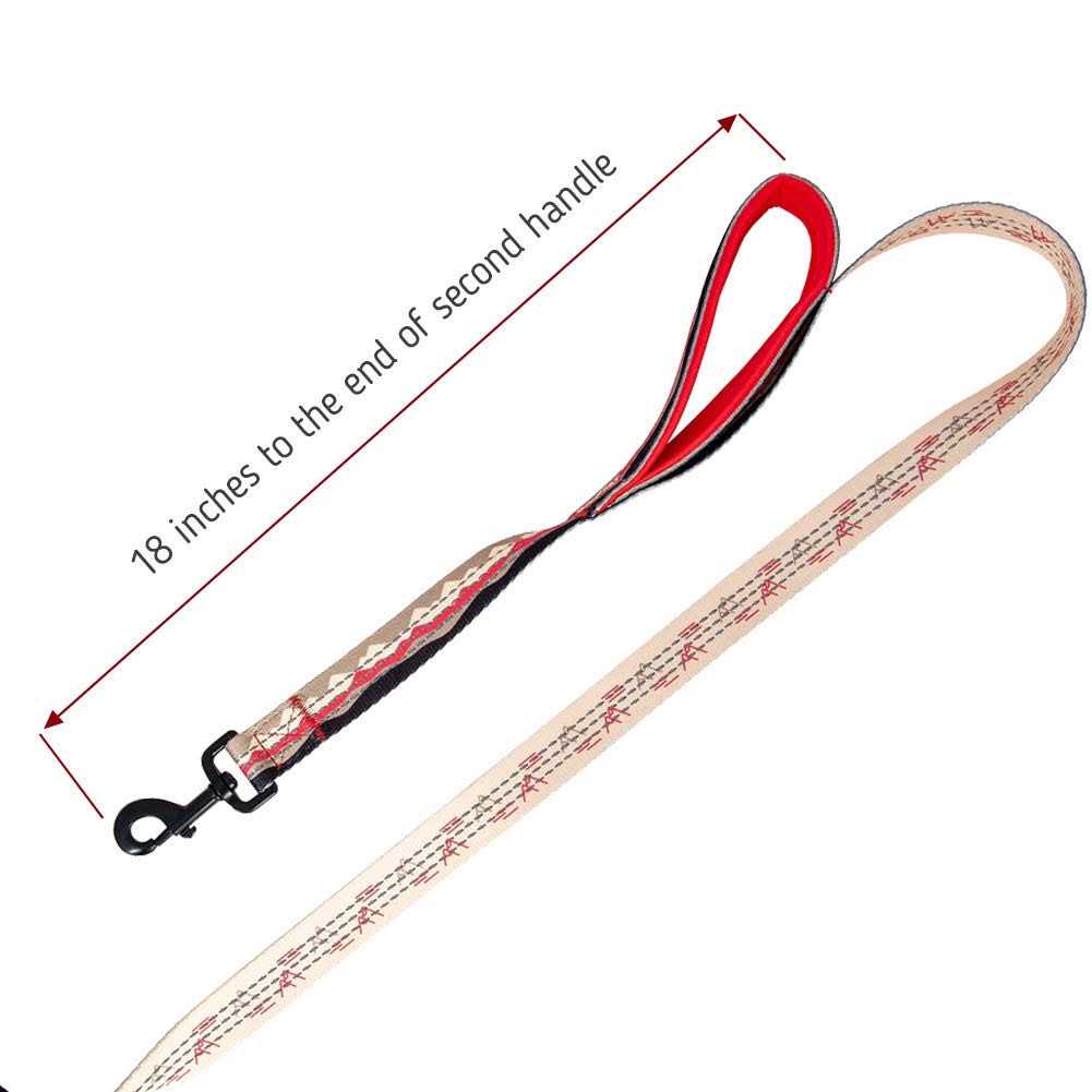 6ft Dog Leash Padded Handle M643246