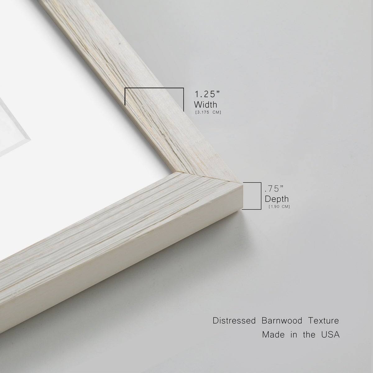 Premium Framed Canvas X31383