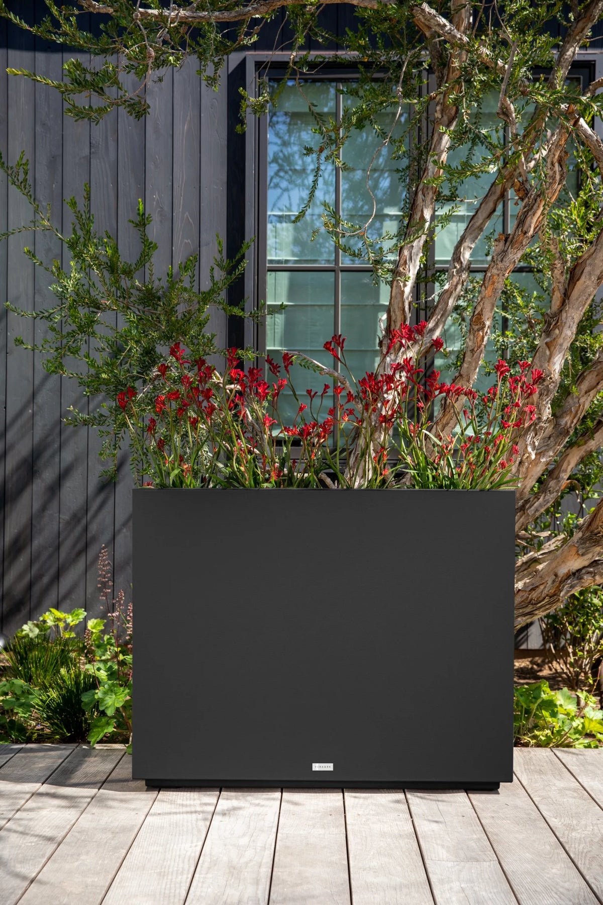 Black Plastic Planter U32901