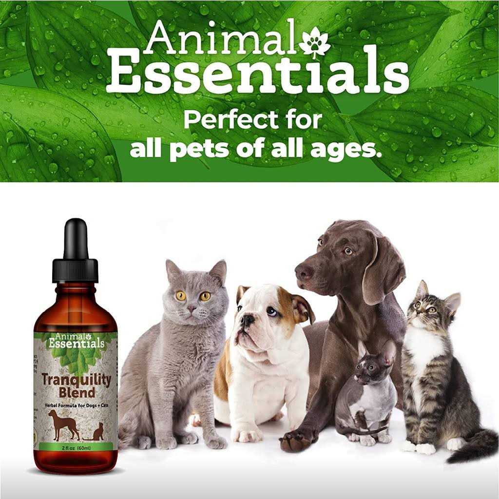 Tranquility Blend Pet Supplies L94001