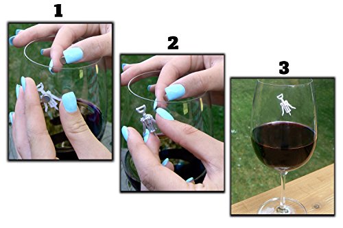 Magnetic Wine Glass Charms Set of 6 A200018