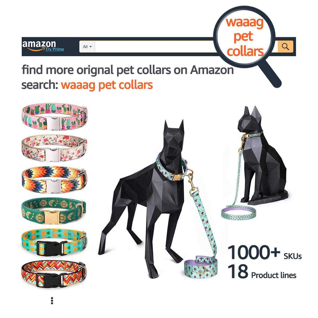 Cat Collar Dog Collar Cat Leash I591646