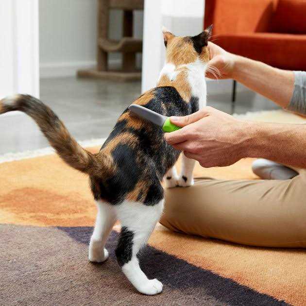 Flea Comb for Cats & Dogs F353