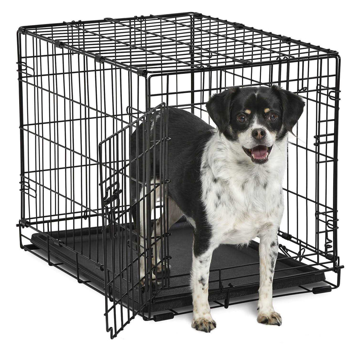 Single-Door Dog Crate T375