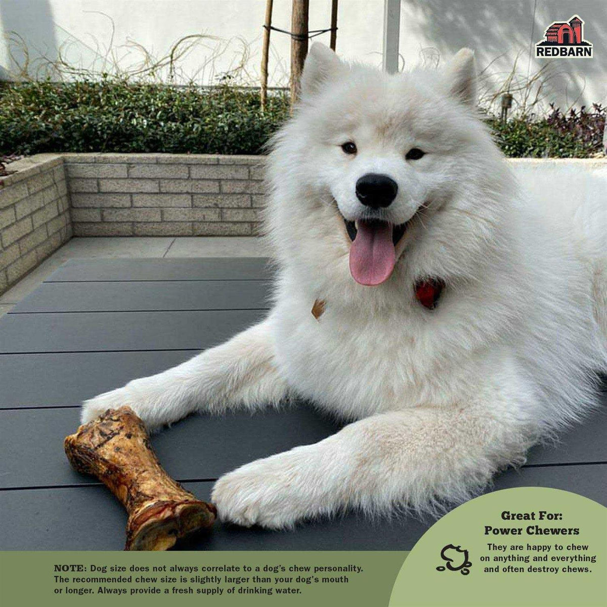 Large Meaty Dog Bone M267