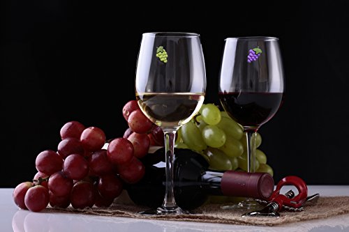 Magnetic Wine Glass Charms Set of 6 A200018