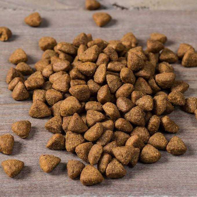 Duck Turkey & Guinea Fowl Dry Dog Food B288