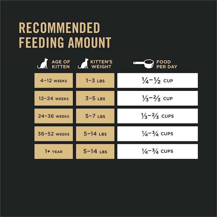 Kitten Dry Food K5549