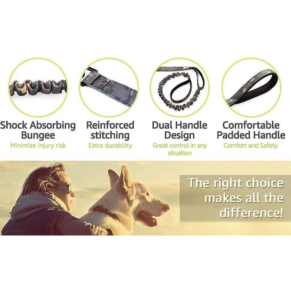 Two Handle Dog Leash with Shock Absorbing C89911