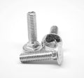 Stainless Steel 316 Coarse Thread Carriage Bolt Pk 40 M4093