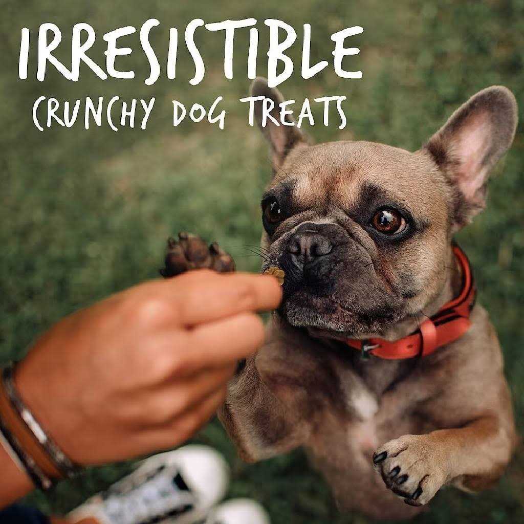 Crispy Bacon Apple Dog Treats H559