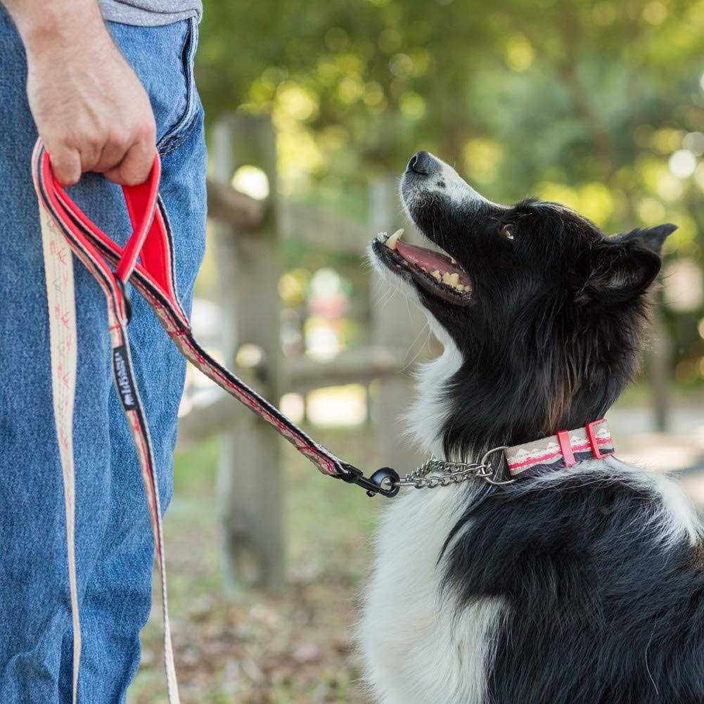 6ft Dog Leash Padded Handle M643246