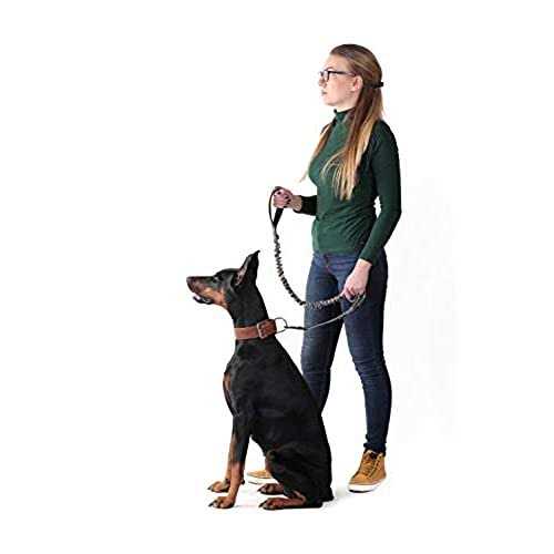 Two Handle Dog Leash with Shock Absorbing C89911
