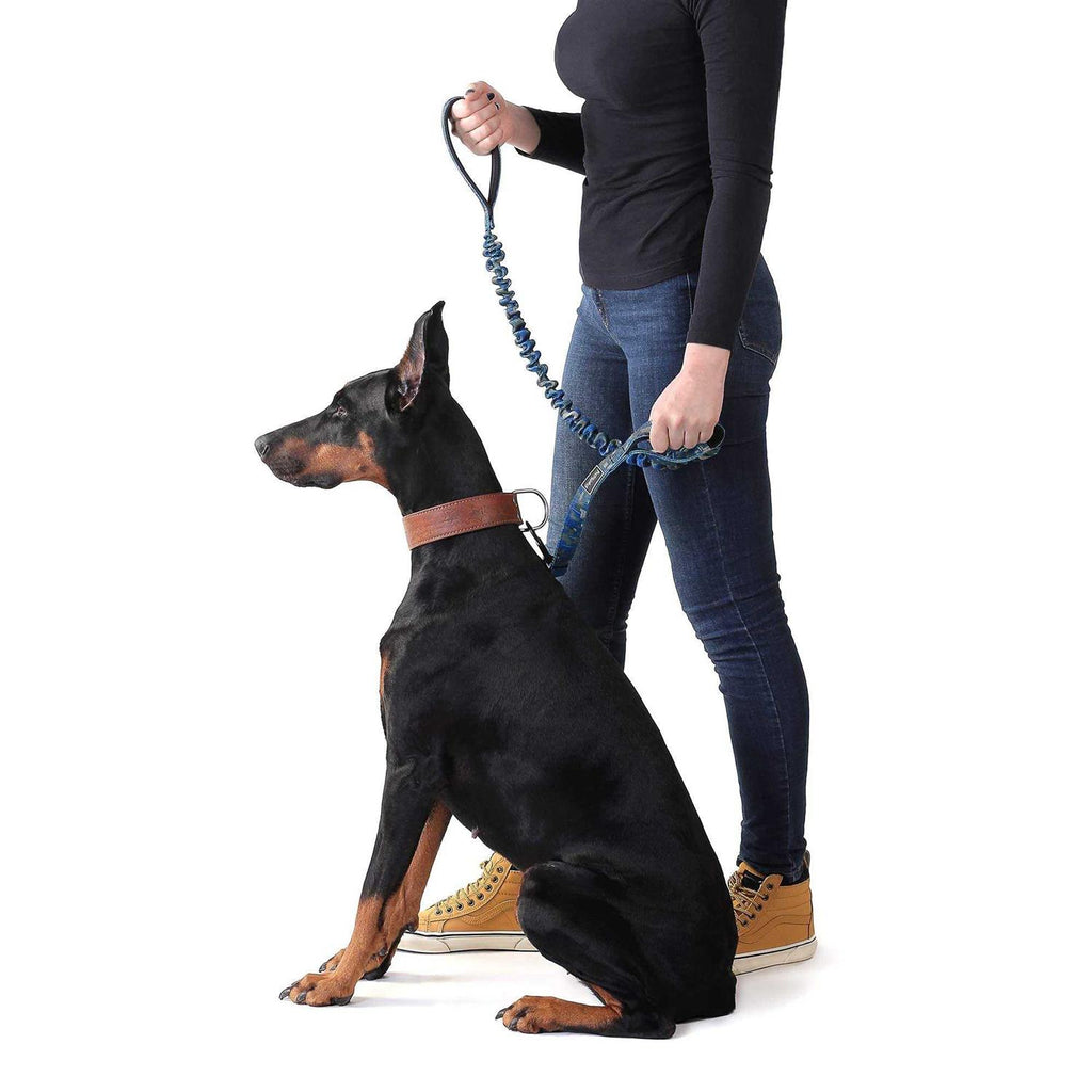 Two Handle Dog Leash with Shock Absorbing C89911
