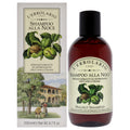 Walnut Shampoo 6.7 oz B971793