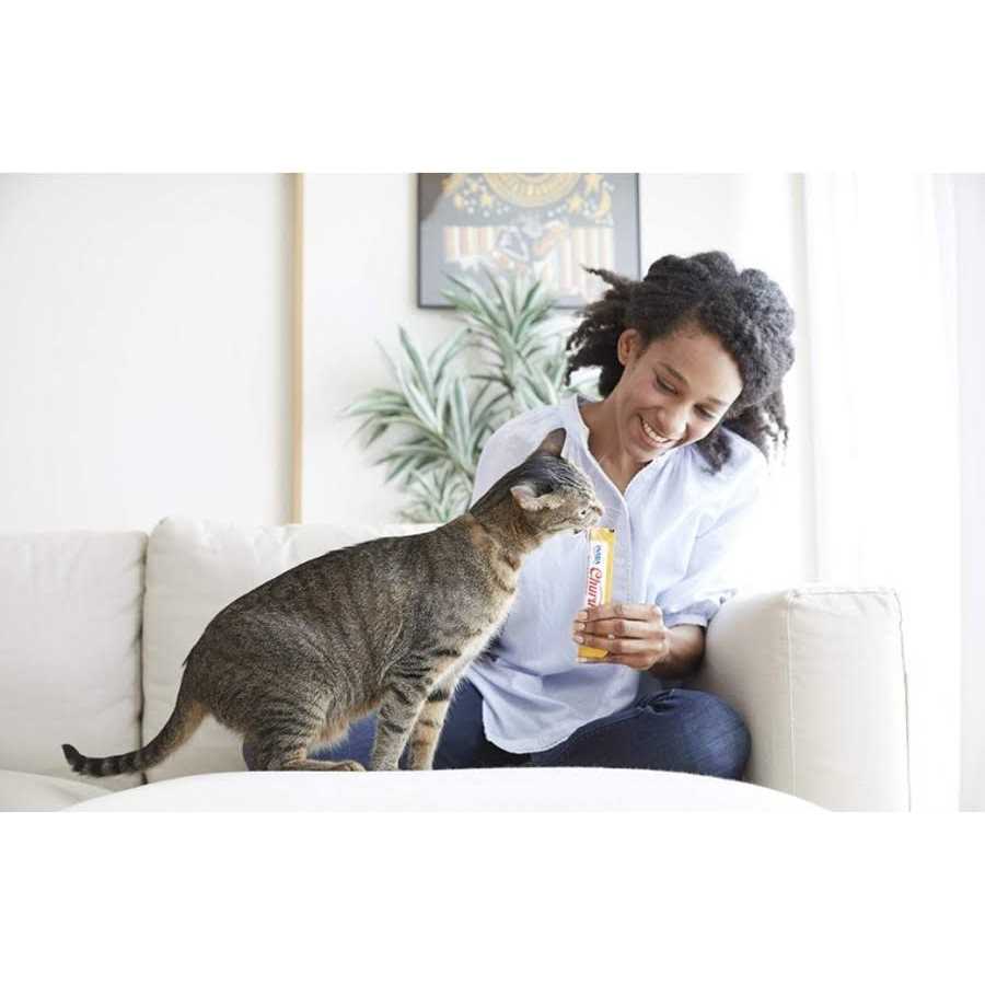 Tuna Puree Cat Treat U260955