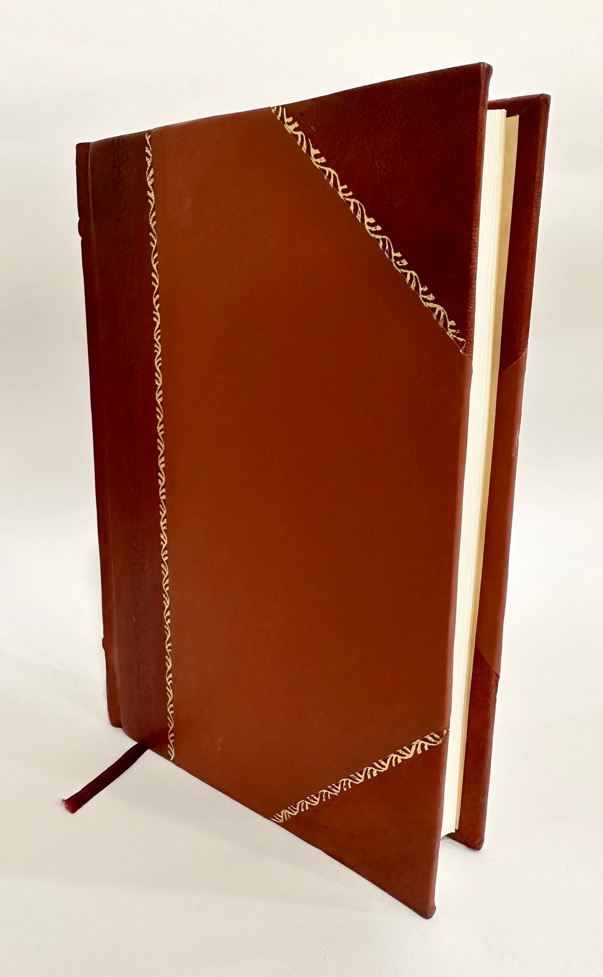 Novel N866
