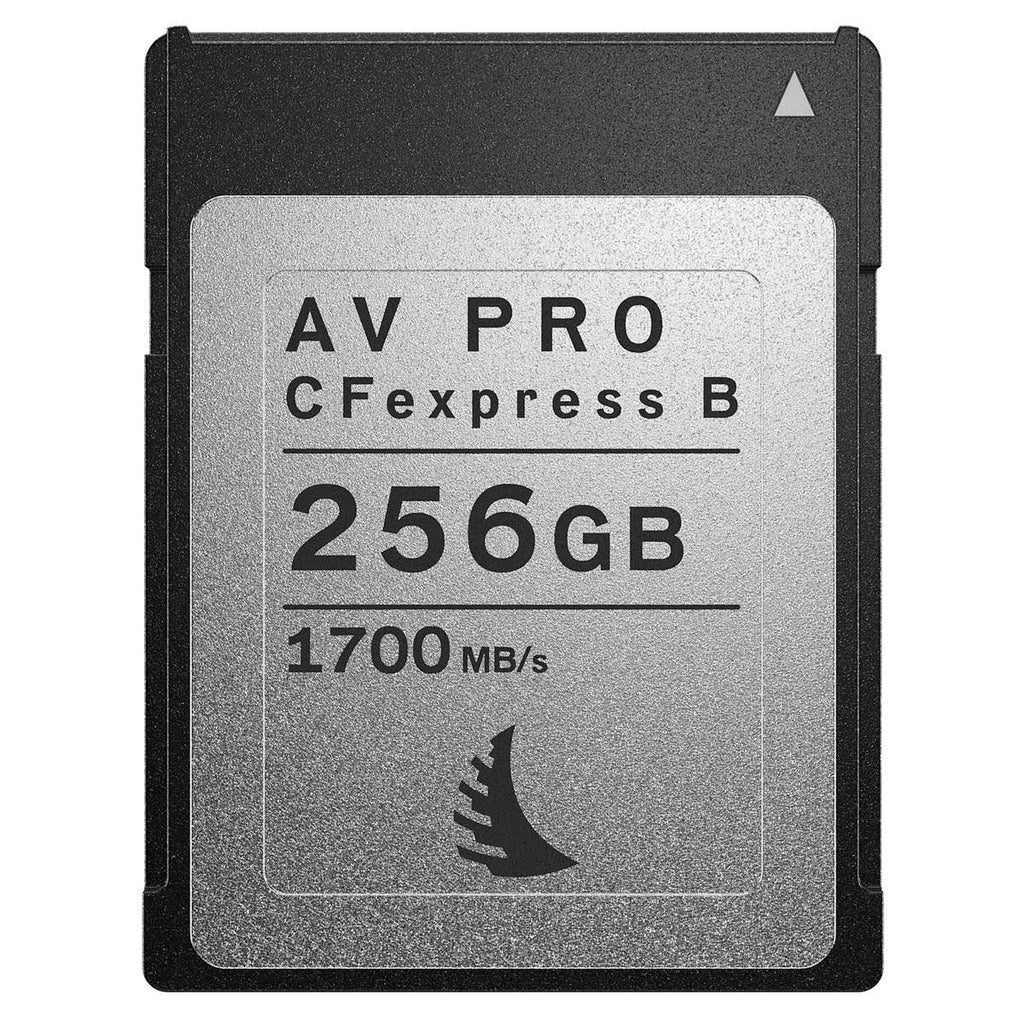 256GB CFexpress 2.0 Type B Memory Card P52096