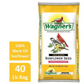 Black Oil Sunflower Seed L88803