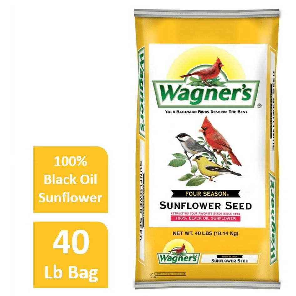 Black Oil Sunflower Seed L88803