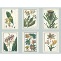 Blue Botany Wallpaper F657332