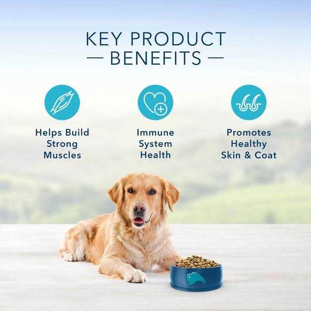 Chicken & Brown Rice Recipe Dry Dog Food W96233