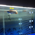 Acrylic Divider Isolation Board with Suction Cups M62035